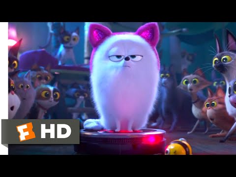 The Secret Life of Pets 2 - Dog vs. Cats Scene (5/10) | Movieclips - UC3gNmTGu-TTbFPpfSs5kNkg