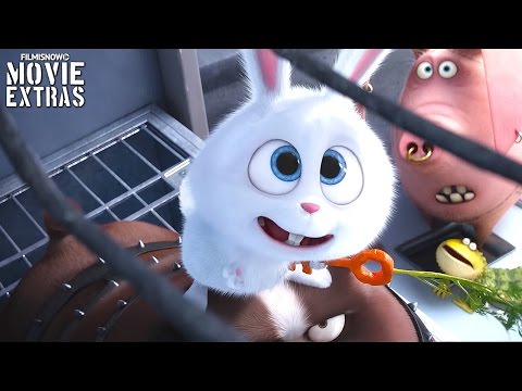 The Secret Life of Pets Clip Compilation (2016) - UCmQynT5NWU3Vsa9t0OGUhcA