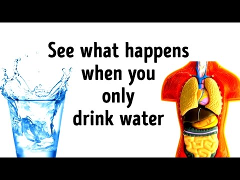 What Would Happen If You Replace All Drinks with Water? - UC4rlAVgAK0SGk-yTfe48Qpw