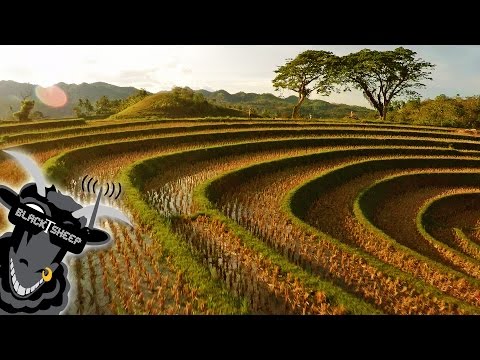 PHILIPPINES - Team BlackSheep [2.7k HD] - UCAMZOHjmiInGYjOplGhU38g