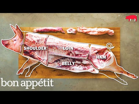 How to Butcher an Entire Pig: Every Cut of Pork Explained | Beautiful Butchery | Bon Appetit - UCbpMy0Fg74eXXkvxJrtEn3w