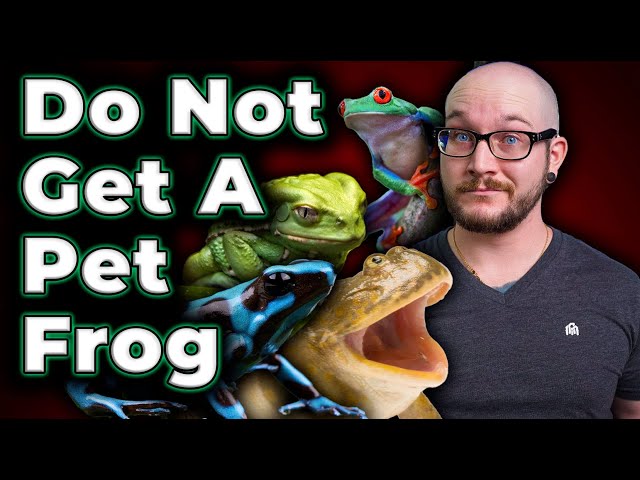 Can Frogs Heal Themselves?