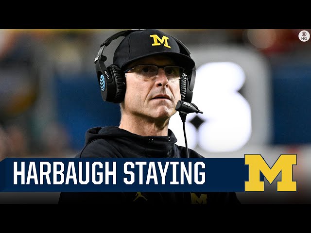 Did Jim Harbaugh Coach In The Nfl?