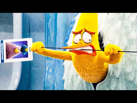 Chuck steals the Keycard Scene - THE ANGRY BIRDS MOVIE 2 (2019) Movie Clip - UCA0MDADBWmCFro3SXR5mlSg