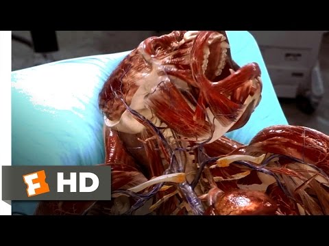 Hollow Man (2000) - Gorilla Visible Scene (1/10) | Movieclips - UC3gNmTGu-TTbFPpfSs5kNkg