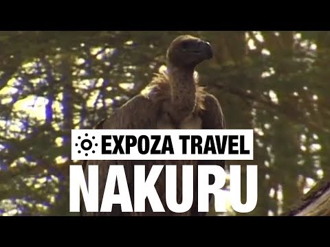 Nakuru (Kenya) Vacation Travel Video Guide - UC3o_gaqvLoPSRVMc2GmkDrg