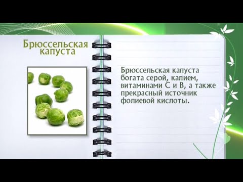 Кулинарная энциклопедия - Брюссельская капуста - UC7XBjhXnmmXFsxmnys9PmDQ