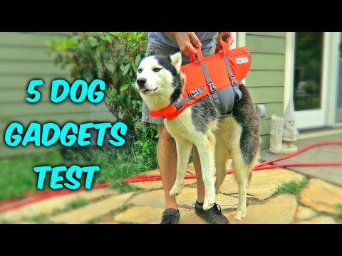 5 Dog Gadgets on Amazon - Part 3 - UCe_vXdMrHHseZ_esYUskSBw