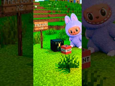 Labubu And Free Dupe | If There Was A Scam In Minecraft 😸