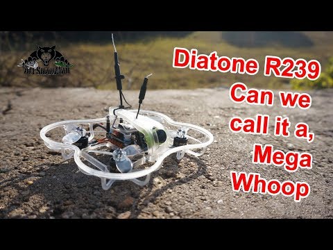 Diatone 2019 GT R239 2 Inch 3S FPV Racing RC Drone F4 OSD RunCam TX200U - UCsFctXdFnbeoKpLefdEloEQ