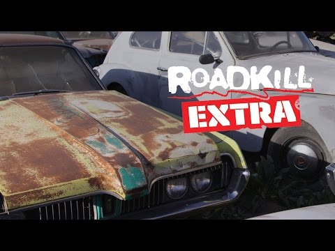 Freiburger Junkyard Pick: 6.5L Cougar! - Roadkill Extra