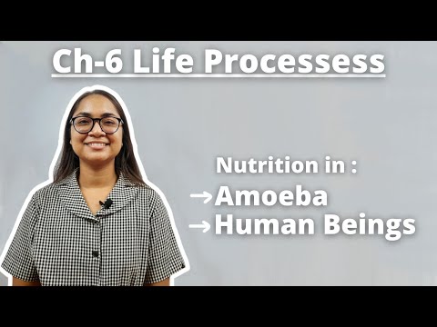 Ch-6 Life Processess L2 || REVISION🔥+ MCQ Explanation || Term-1 Exams || Class-10 Science Ch-6