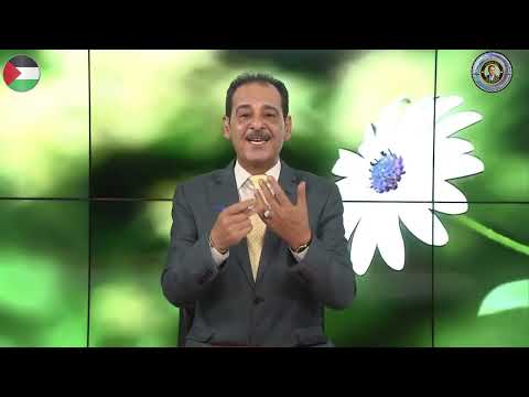 فوائد أوراق النعناع الصحية لتعزيز الهضم في رمضان مــع خـبـيـر الأعشاب حسن خليفه