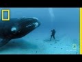 אדם מול לוויתן עצום