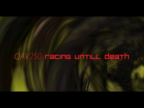 QAV250 Racing untill Death - UCRNxqk7A7fhmlLLCXEWpe6w