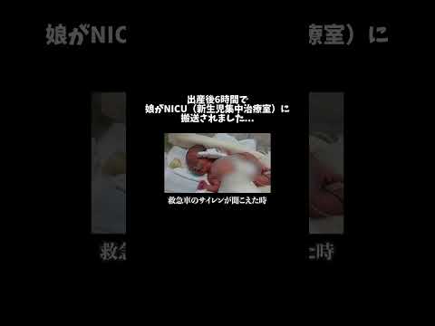 出産後6時間で娘がNICU（新生児集中治療室）に搬送されました#shorts