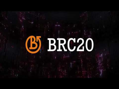 What are BRC-20 Tokens?