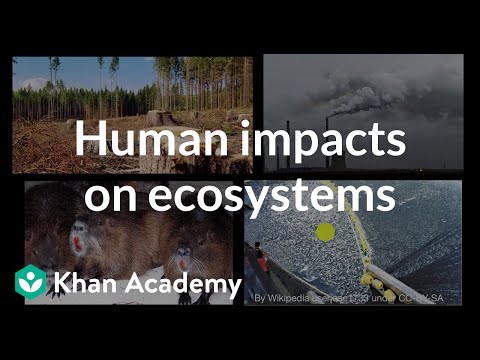 Human impacts on ecosystems