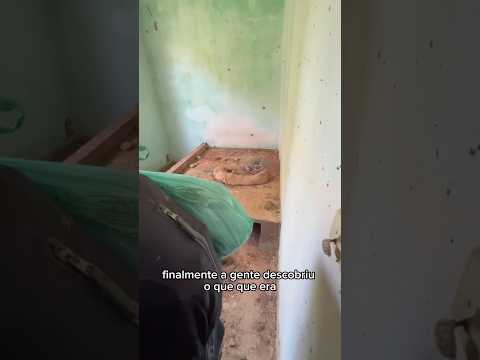 O que era aquilo?? #shorts