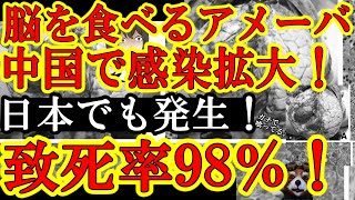 【ガチで脳みそ喰われてるじゃん！中国で感染拡大する『脳を食べるアメーバ』！既に40名以上が犠牲に！日本でも3症例！致死率なんと98％！】世界