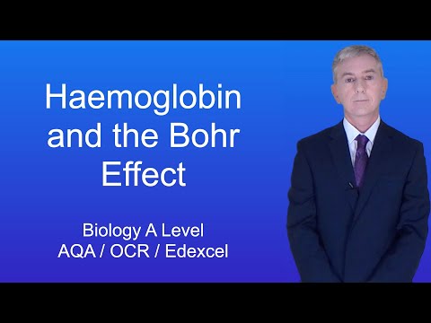 A Level Biology Revision “Haemoglobin and the Bohr Effect”