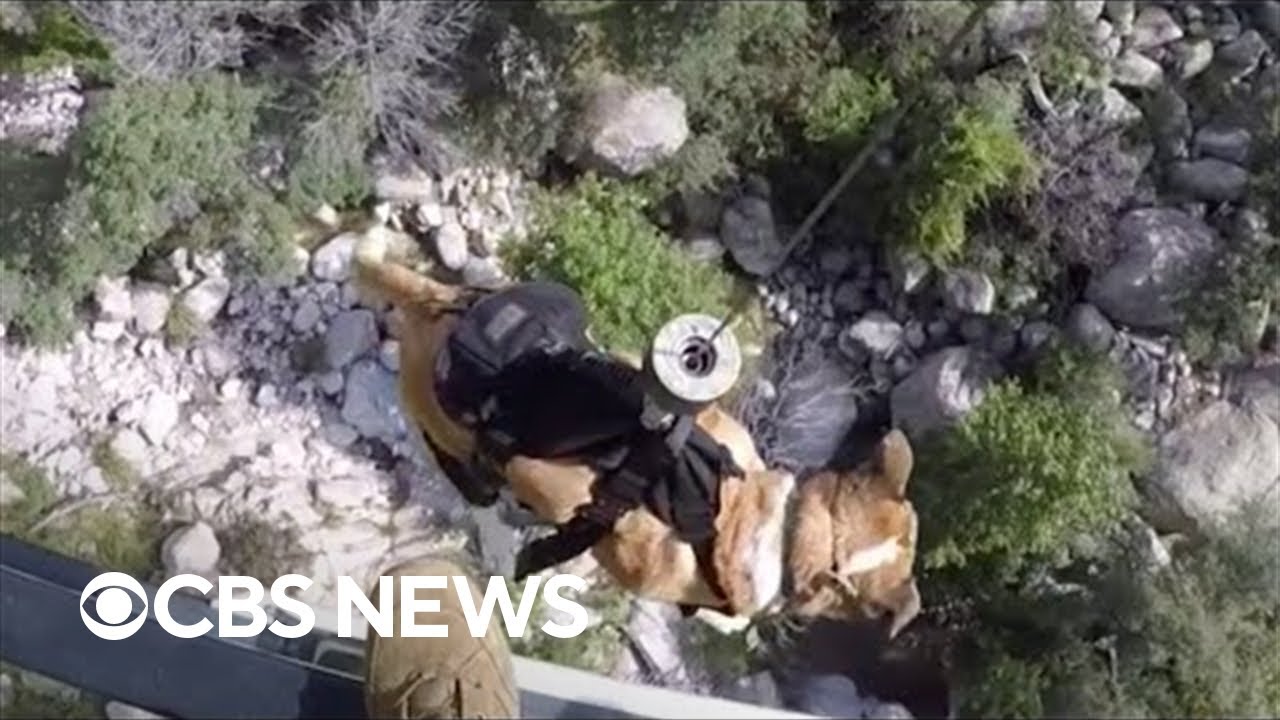 Dog airlifted from remote canyon trail in Arizona