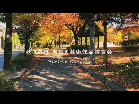【vlog】心が疲れたときにみる秋の景色🍁