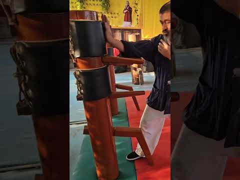 Mai gei wong wingchun #maigeiwong #wingchun #shifukanishka #vingtsun #foshanwingchun #ipman #kungfu