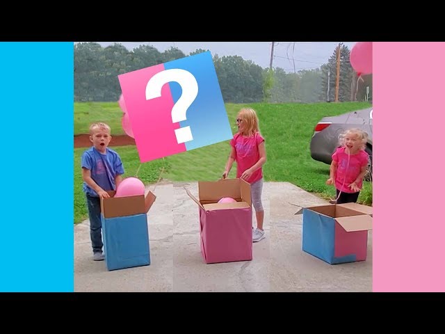 Gender Reveal Basketball – The New Way to Celebrate Your Baby’s Gender