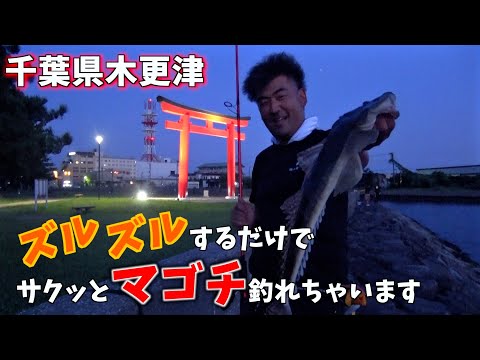 木更津でサクッとマゴチ釣れちゃいました！