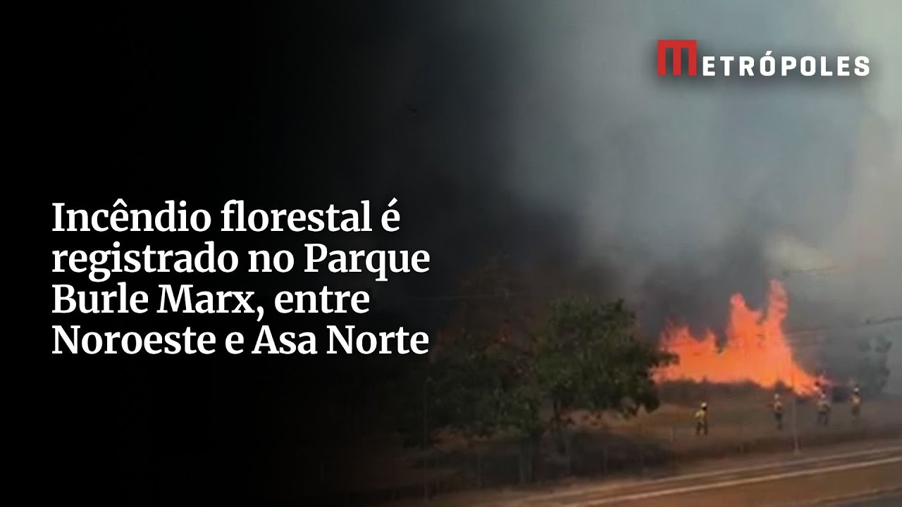 Incêndio florestal é registrado no Parque Burle Marx entre Noroeste e Asa Norte