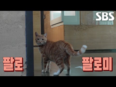 <strong>호야</strong>, 관람객 사로잡은 완벽한 전시 안내로 인턴 점수 만회★