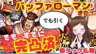 【極タッグ乱舞】バッファローマン再来！完凸済みだけど引くのが真の推し活。イベント出演も強欲に願う生配信【キン肉マン】
