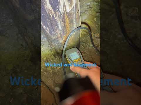 Wicked wet basement today!  #realestate #homeinspection #mold #water