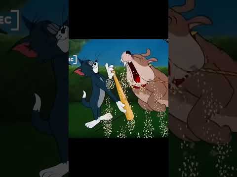 Follow me for more at @siennadrakexo........#tomandjerry #funny #fyp #reels