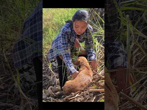 A breathtaking moment: Single mother saves her dog. #singlemother  #dog #doglife