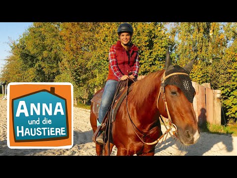 Reiten wie ein Cowgirl | Information für Kinder | Anna und die Haustiere