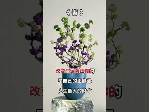 善念的修行之修行善念是提升自我的重要途径，在日常生活中，保持一颗慈悲之心，关爱他人。 诚实守信是构建良好人际关系的基础，不可忽视。 时刻反思自己的行为，感谢订阅☕☕#心灵感悟