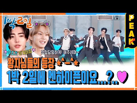 [#피크타임] 1박 2일에 찾아온 아이돌 그룹 엔하이픈!? 그 시절 엠블랙 댄스 마스터 정원의 랜덤 플레이 댄스 | #1박2일시즌4 | KBS 241117 방송