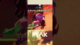 トゲ、ヌイテクレ  #PEAK #shorts