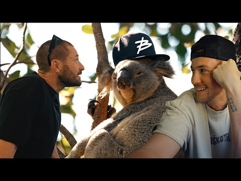 KOALA + KAPA = ✓ ? | BitVlog #121