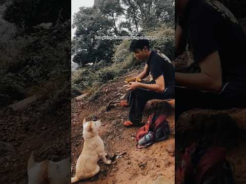 good people#shortvideo #animals #short #animalintelligence #dog #doglife #dogvideos #dogshorts #dogs