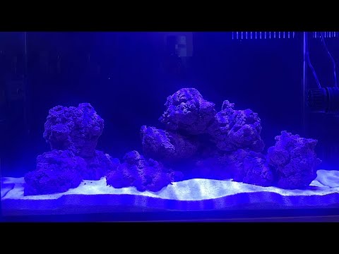 New marine tank with BIOHOME BIOROCK (and it looks This is my 90l marine tank that is scaped with Biohome biorock from @pondguru thanks again to Richar