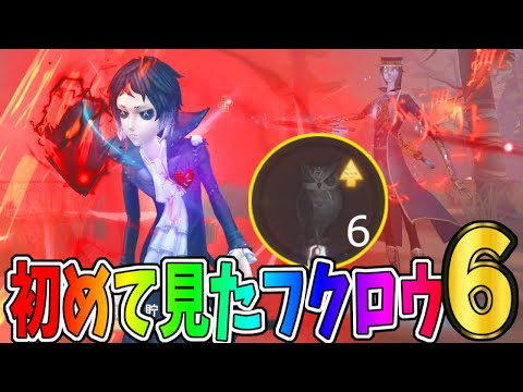 【第五人格】１試合でフクロウ６羽も溜めるクソ上手い占い師現るというか相棒【IdentityⅤ】【アイデンティティ5】