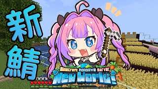 【 Minecraft 】初ラグ無しホロ鯖！エリトラで座標練習！【#綺々羅々ヴィヴィ #hololiveDEV_IS #FLOWGLOW】