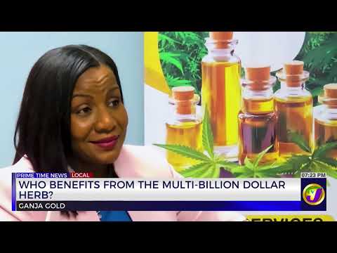 Who Benefits From The mUlti-Billion Dollar Herb? - Part 2 | TVJ News