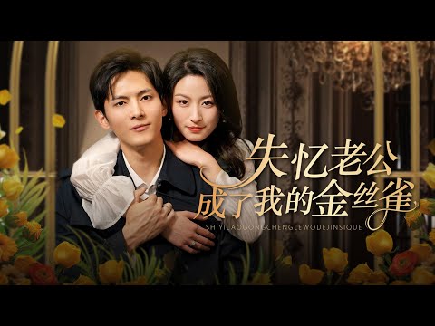 【失憶老公成了我的金絲雀】總裁車禍失憶，妻子騙他：“你破產了，現在是我的金絲雀！” 曾經拽男如今洗衣擦地變奶狗，白天傭人晚上情人，這波 “養夫” 爽到飛起！誰知他恢復後把姐按牆上：“老婆，再來一遍？”