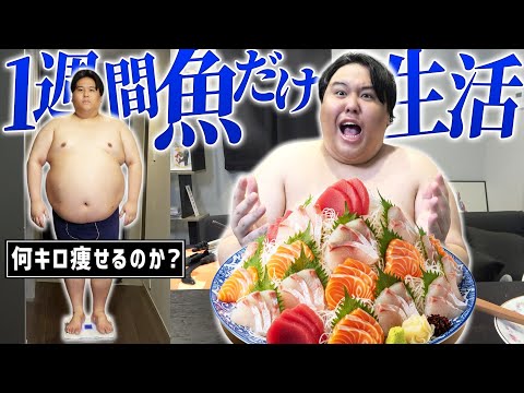 【検証】160kgのデブは1週間魚だけダイエット生活で何kg痩せるのか?