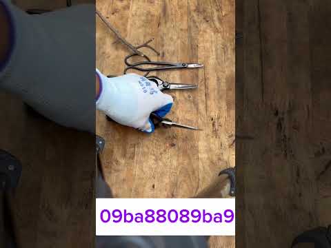 Chia sẽ giao lưu cùng ae đam mê nghệ thuật tạo tác bonsai #bonsai #bonsaitools #bonsaiart