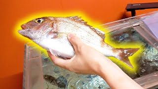 動画サムネイル